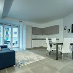Temporaryflat Serlio 7
